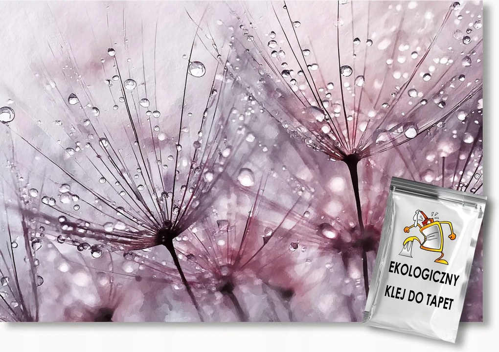 Fotótapéta Flizelina Akvarell Természet Virágok Pitypang Makró 300x210 ragasztó