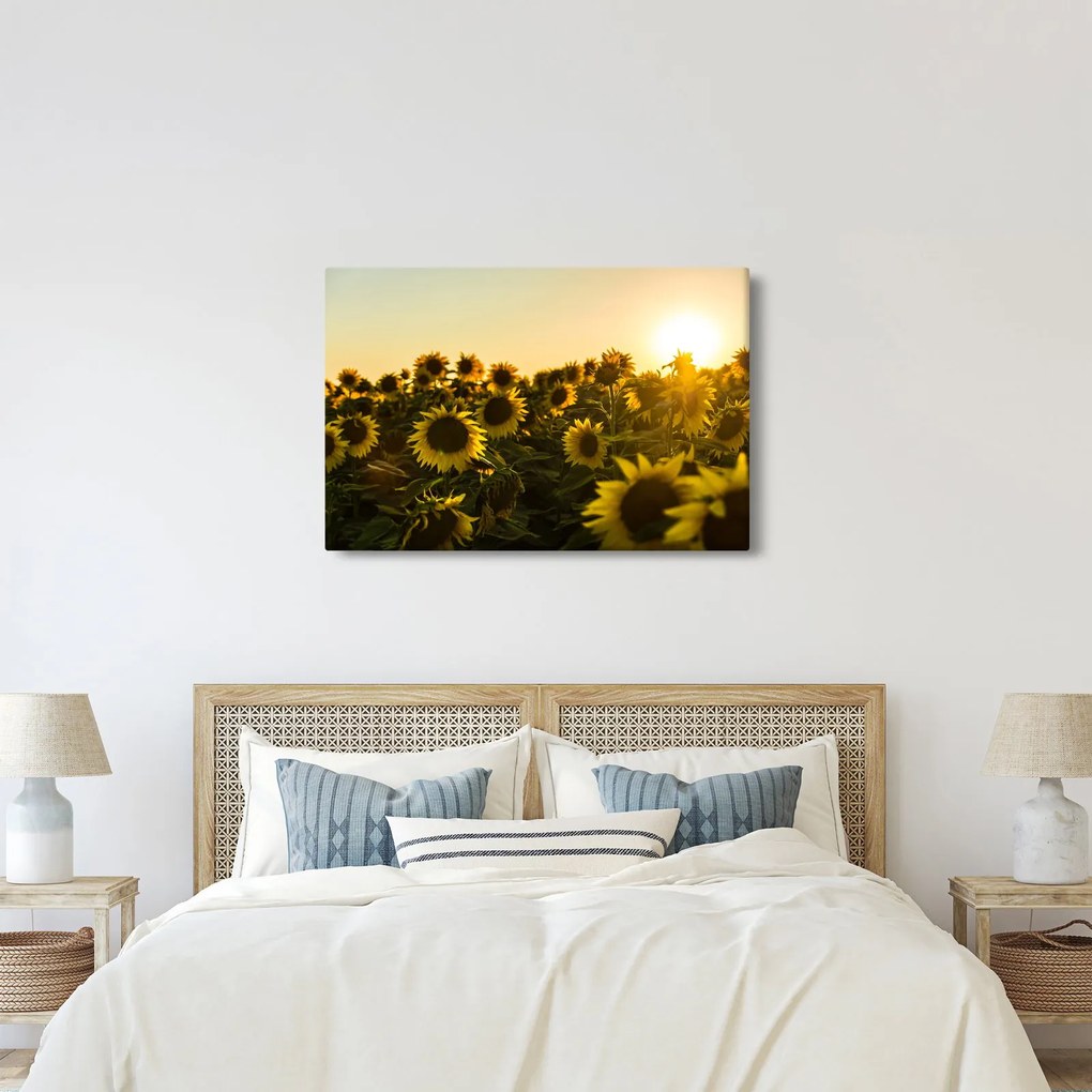 A napraforgó mező képe (90x60 cm)