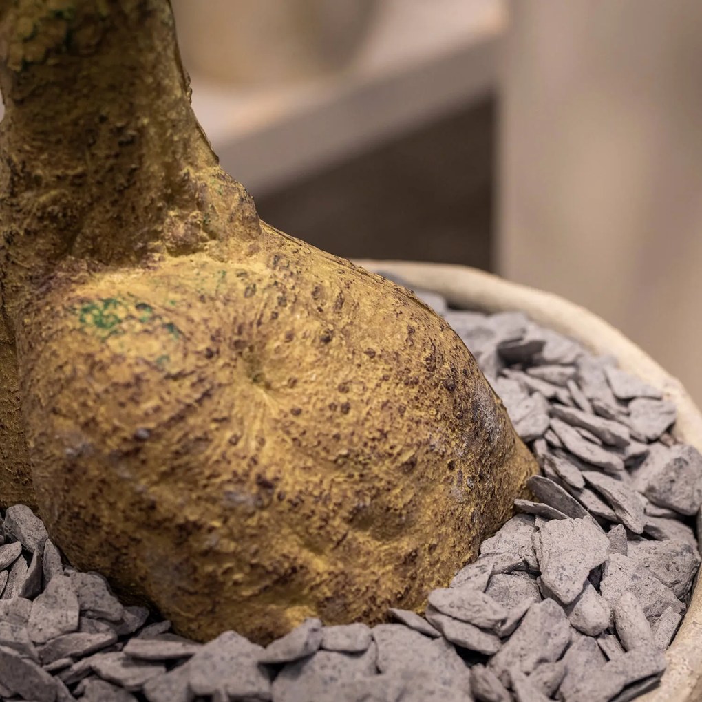 Pottery Pots Realisztikus műfa Queensland palackfa, több méretben - PotteryPots méret: H - ø 50 cm | m. 200 cm