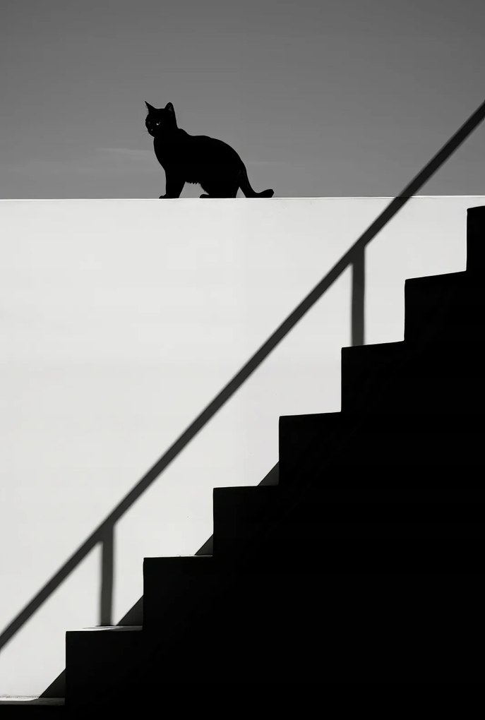 Poszter 68x101cm Sziluett és szimmetria