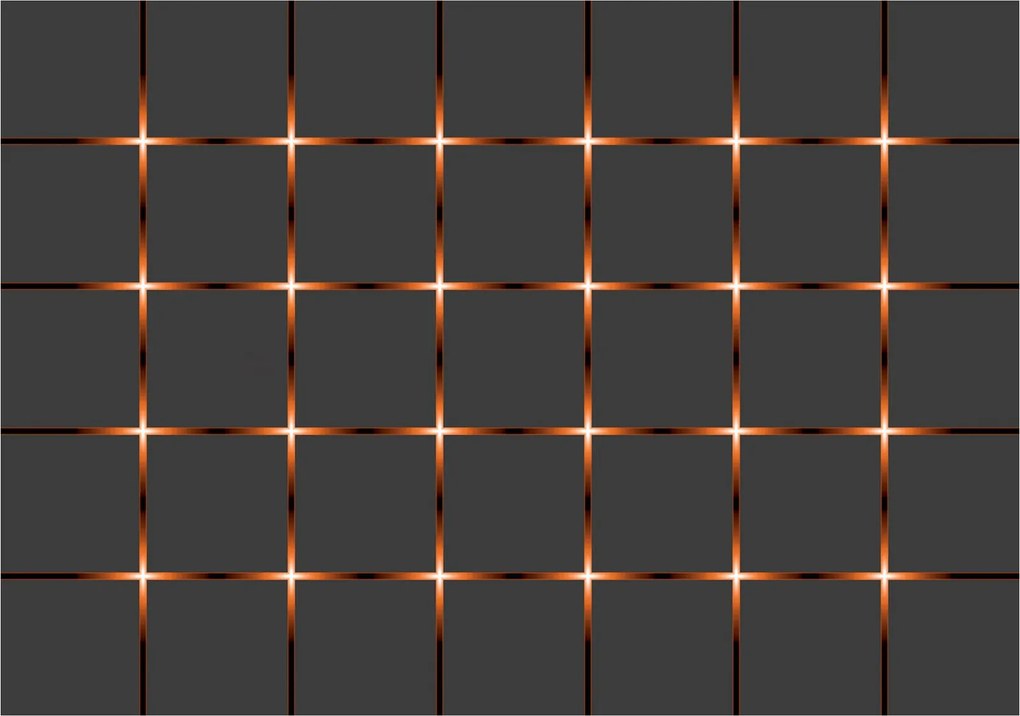 Fotótapéta Geometrikus vinil vonalháló 368x254 minimalizmus loft +ragasztó