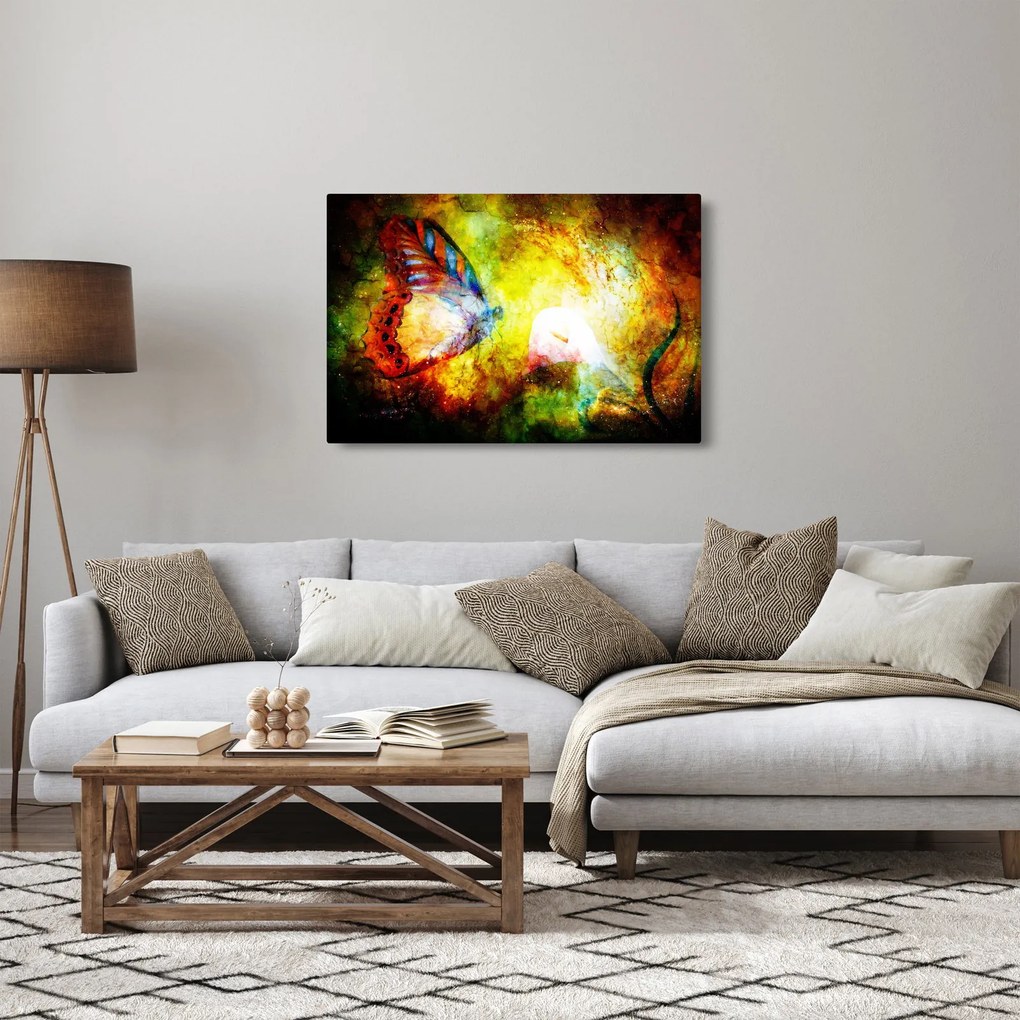 Kép - Kozmikus pillangó (90x60 cm)
