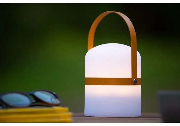 Lucide 06802/01/43 - LED Kültéri dimmelhető lámpa LITTLE JOE LED/0,3W/3,7V IP44