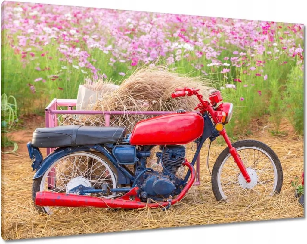 Képek 100x70 Motorkerékpár Motorok Motorkerékpárok