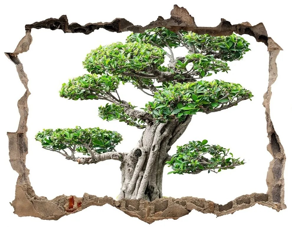 3d lyuk fal dekoráció Bonsai fa nd-k-88907159