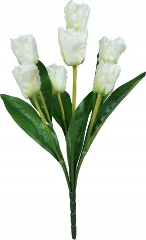 Tulipánok fehér krém csokor váza virágok tavaszra