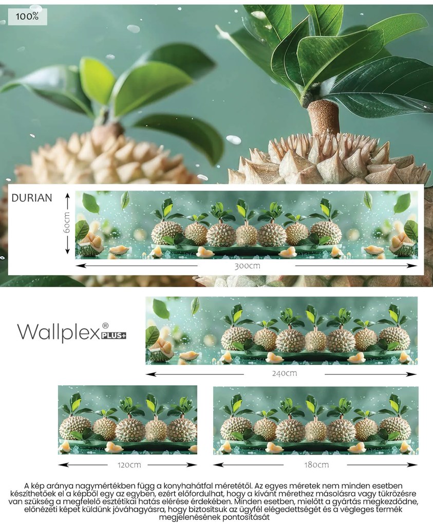Wallplex konyhahátfal Tüskés Durian (Méret: 60x240)