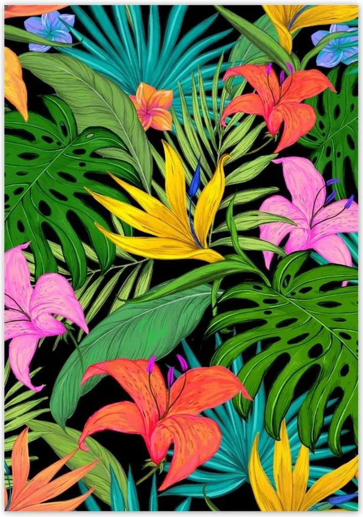 Poszterek 70x100 Levelek Monstery Levelek