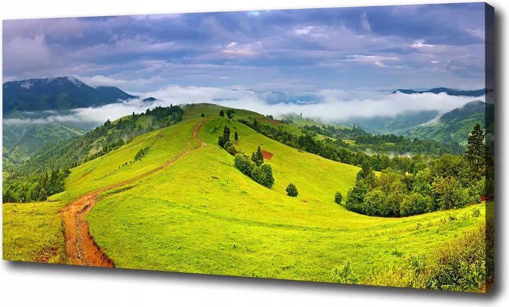 Vászonkép Zöld dombok 100x70 cm