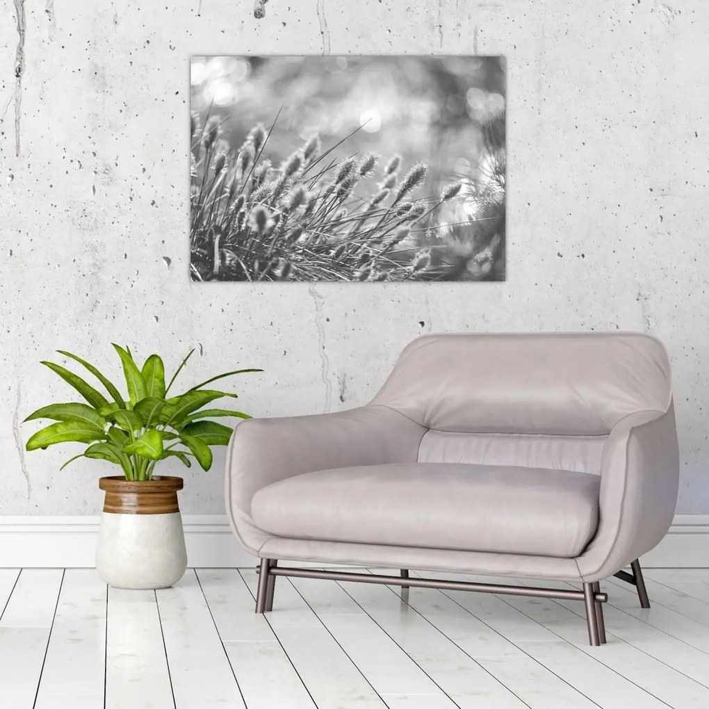 Kép - Bézs színű puha fű N⁰1 (70x50 cm)