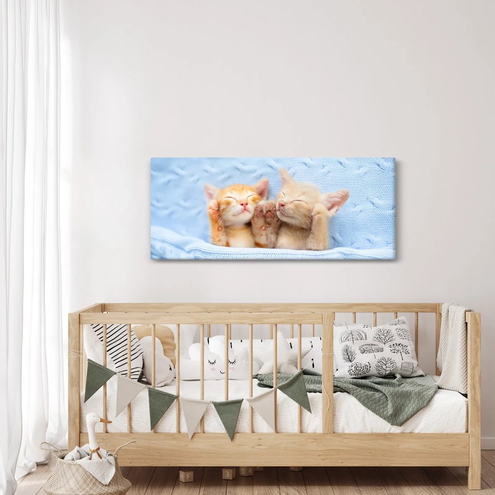 Kép - Alvó cicák (120x50 cm)
