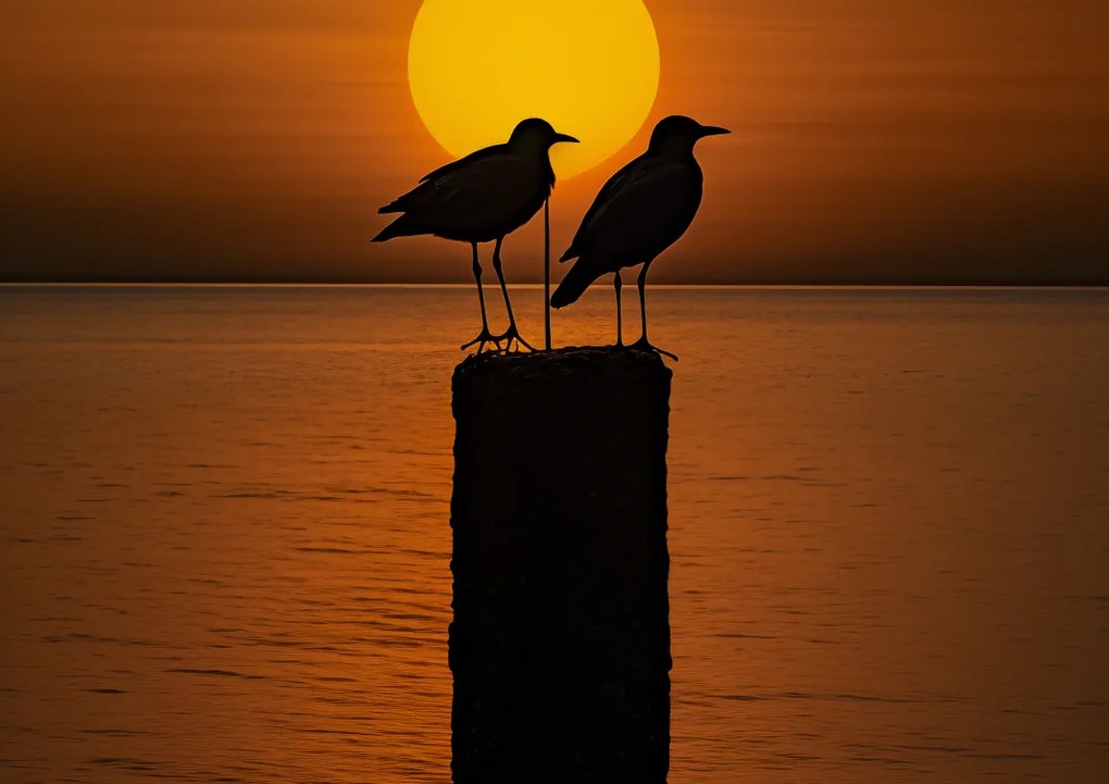 Poszter 59,4x42cm Beszélgetések alkonyatkor