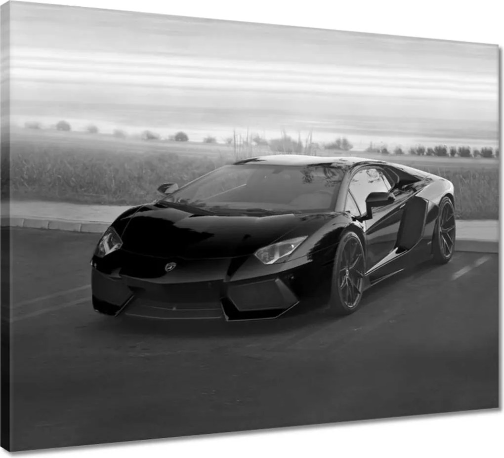 Vászonkép 50x40 Nagy autó