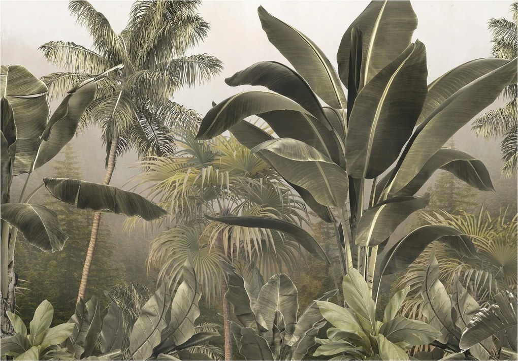 Fotótapéta Trópusi Levelek Banánpálma Természet Tapéta Nappali 368x254