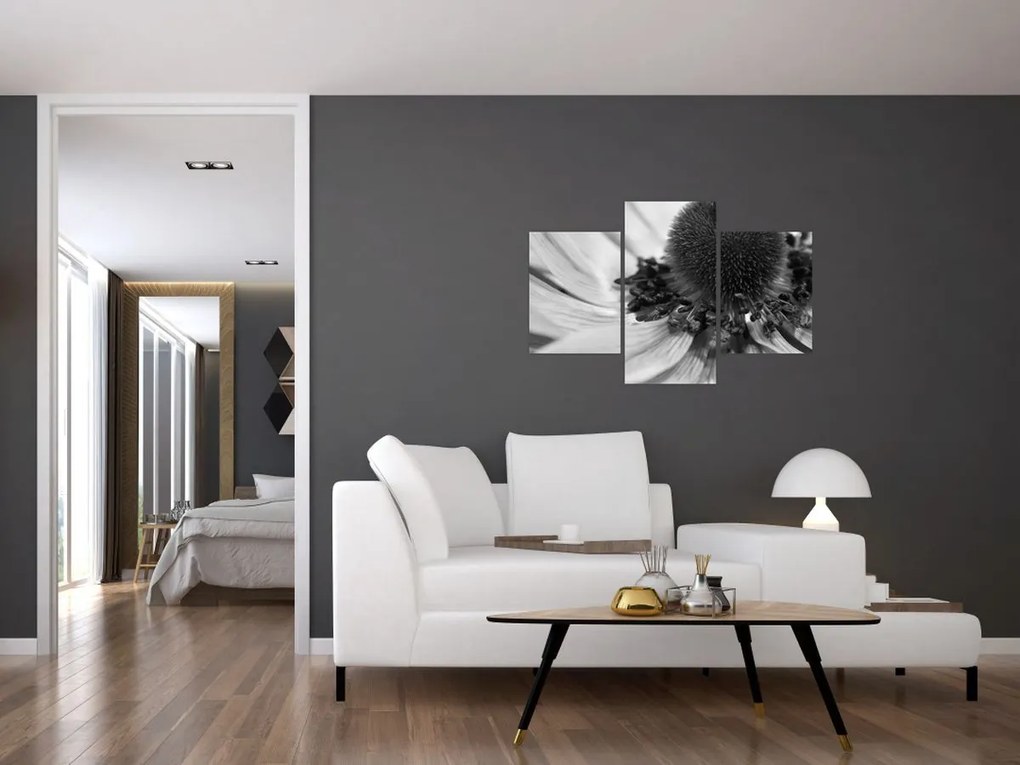 Kép - Virág fekete-fehérben (90x60 cm)