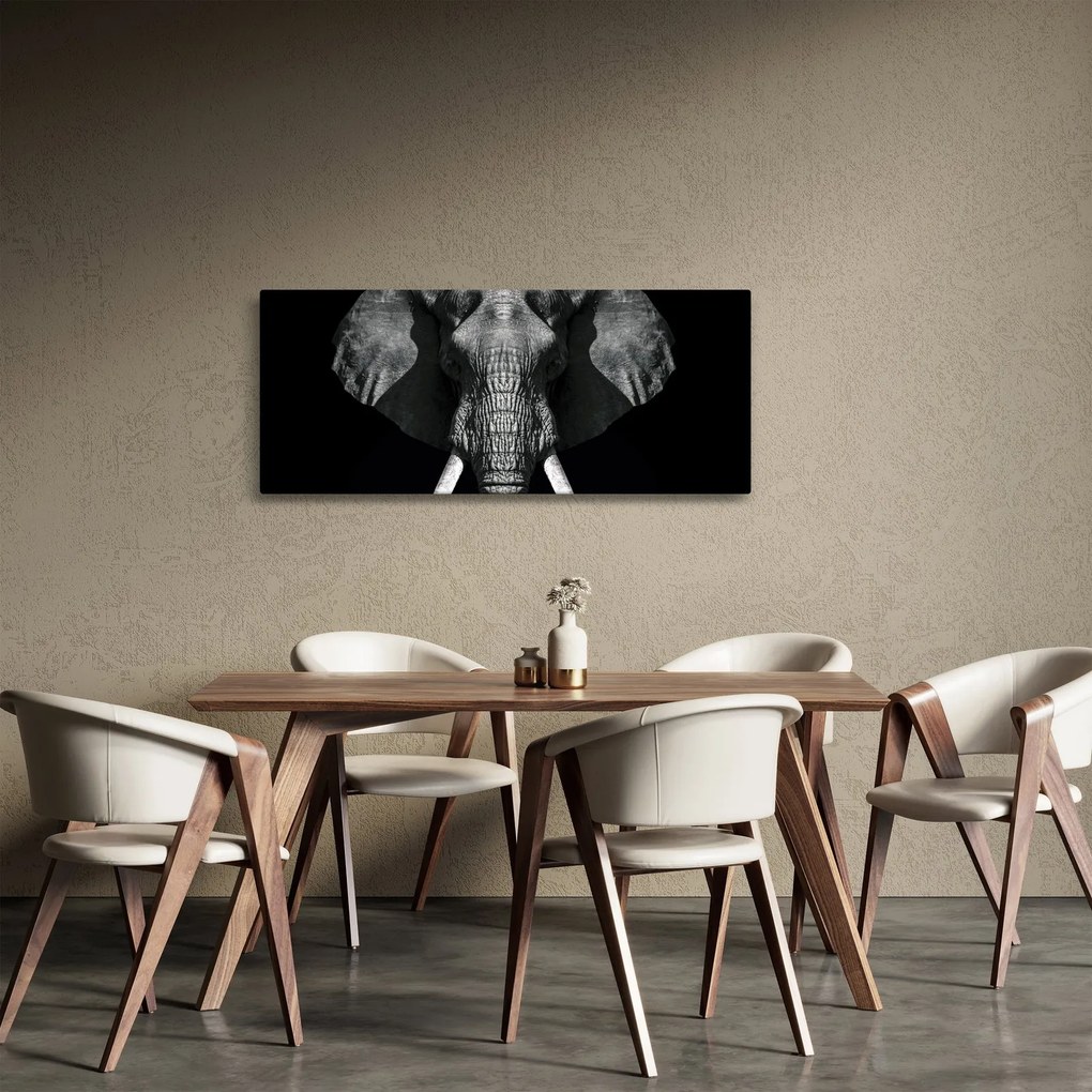 Kép - Elefánt fekete háttérrel (120x50 cm)