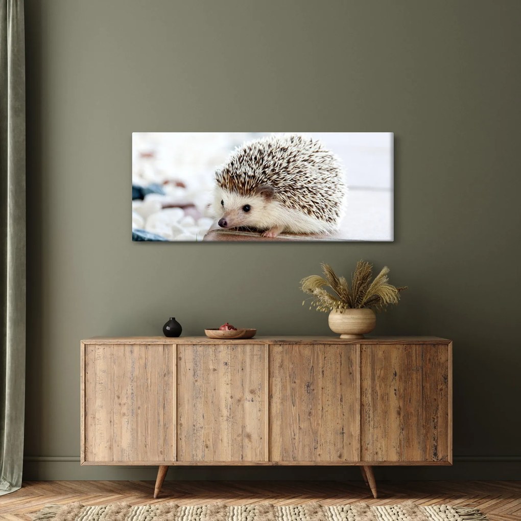 Sündisznó képe (120x50 cm)