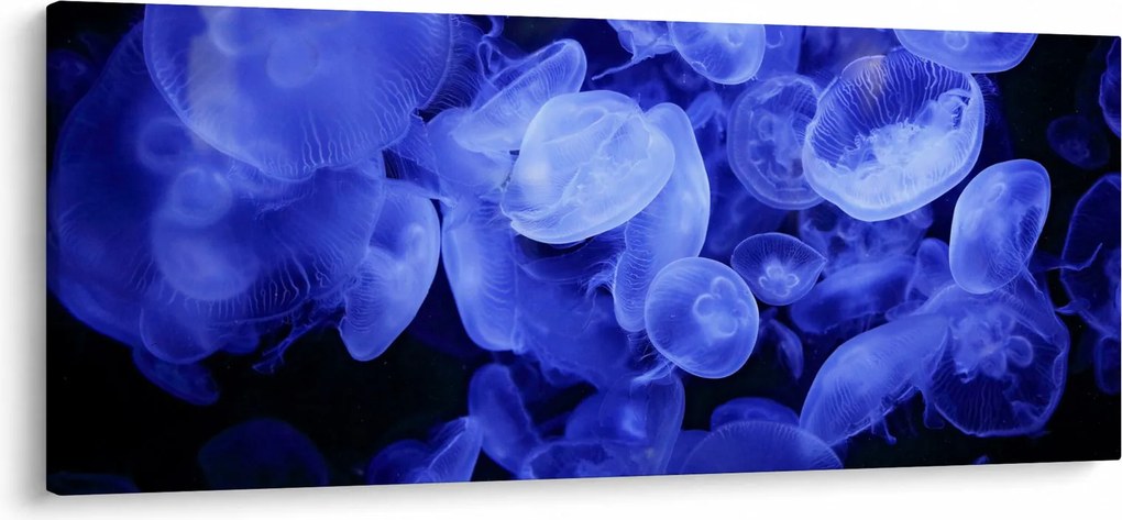 Kép - Medúza (120x50 cm)