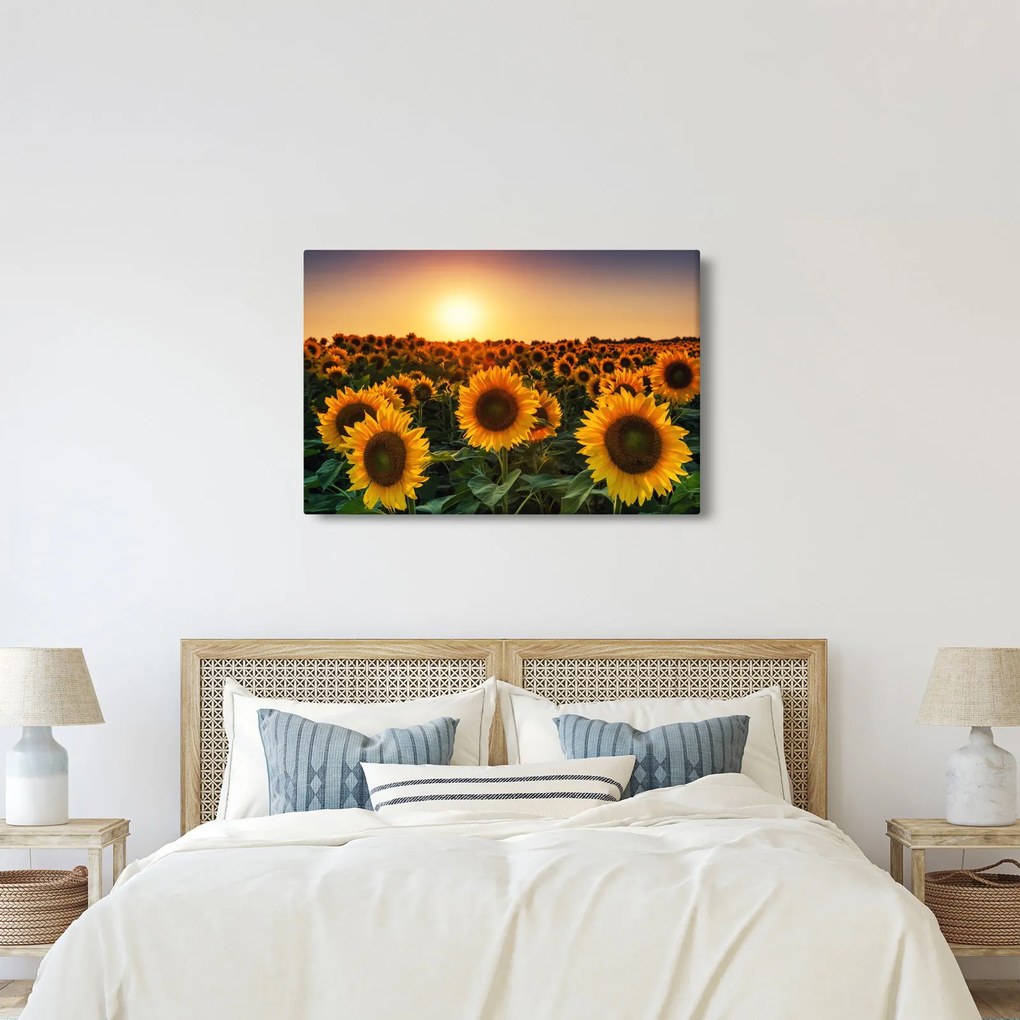 Kép - Napraforgó (90x60 cm)