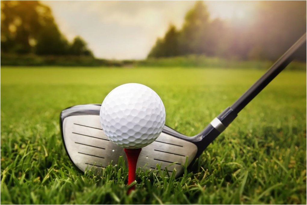 Kép - Golf (90x60 cm)