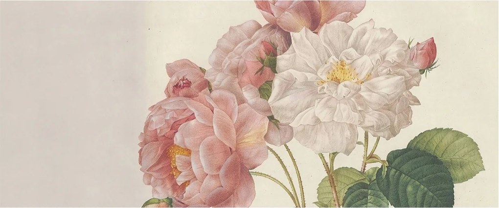 Fotótapéta Flizelin Fal a Hálószobába Romantikus rózsák 250x104 Ragasztó