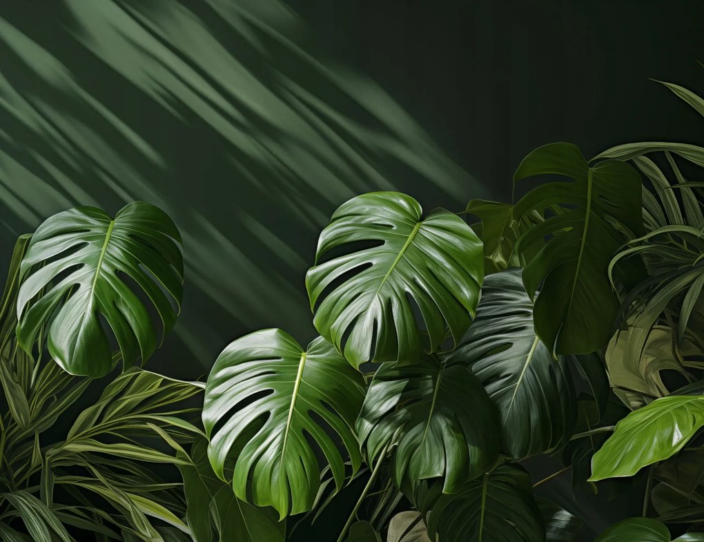 Poszter 65x50cm Suttogó levelek