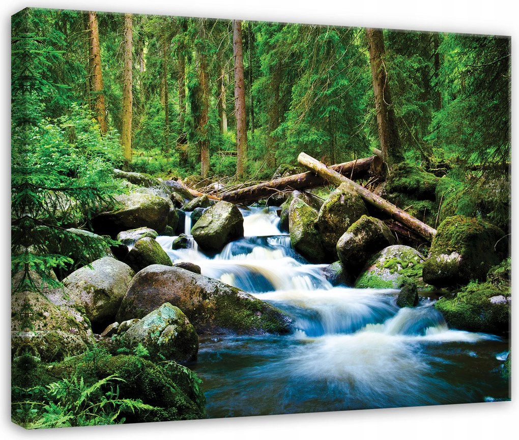 Vászonkép Erdő Patak Fák Természet Tájkép Hálószoba Nappali Vászon 40x30