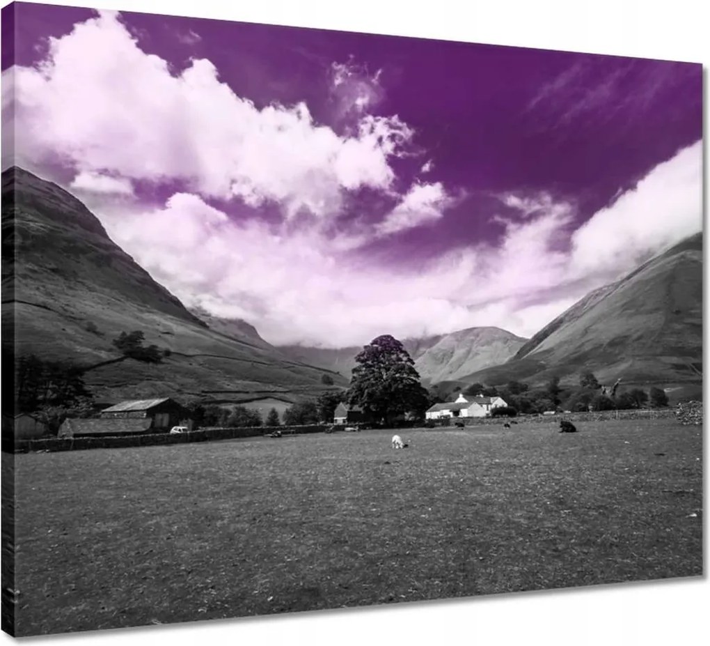 Vászonkép 50x40 Lila égbolt