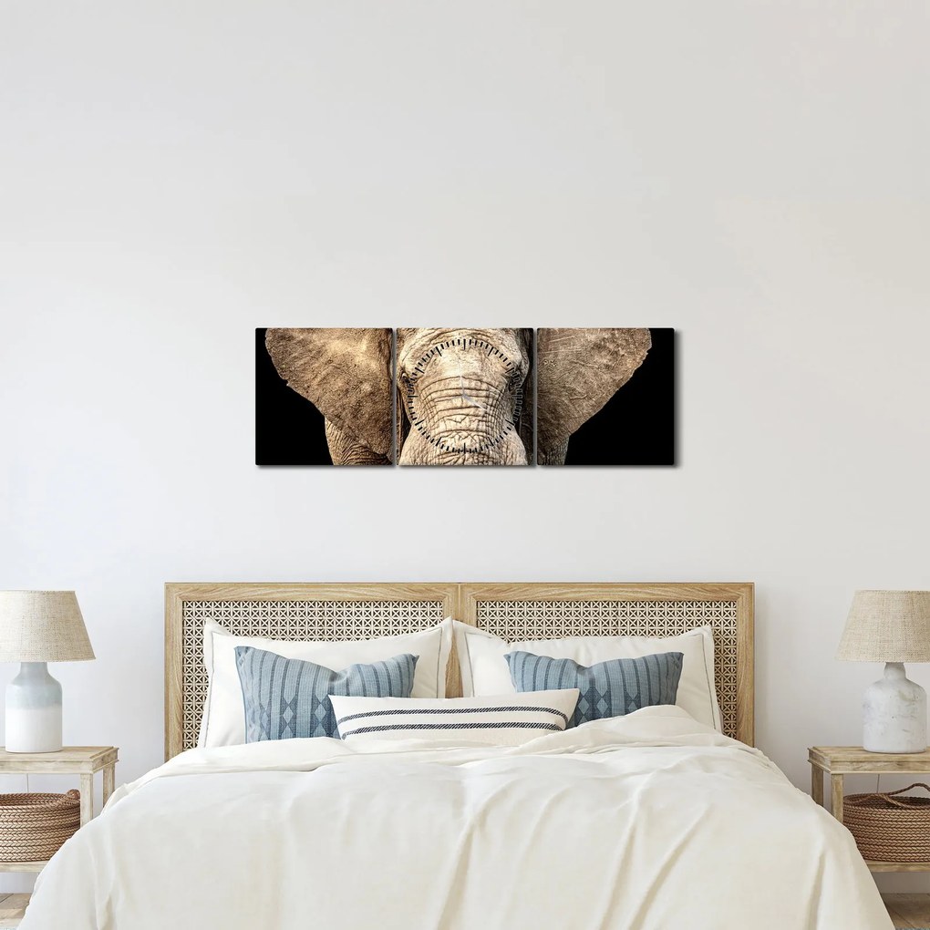 Kép - Afrikai elefánt (órával) (90x30 cm)