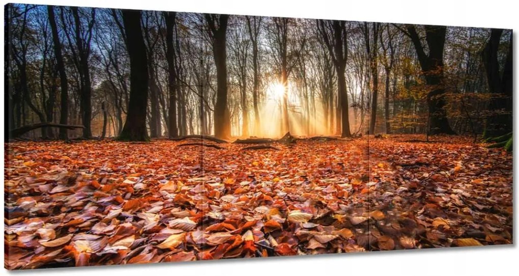 Festmények 180x90 Őszi kilátás Tájkép