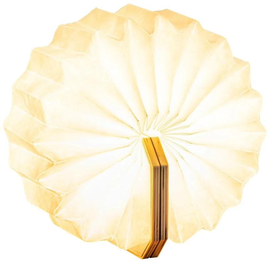 Natúr színű USB fénydekoráció Accordion – Gingko