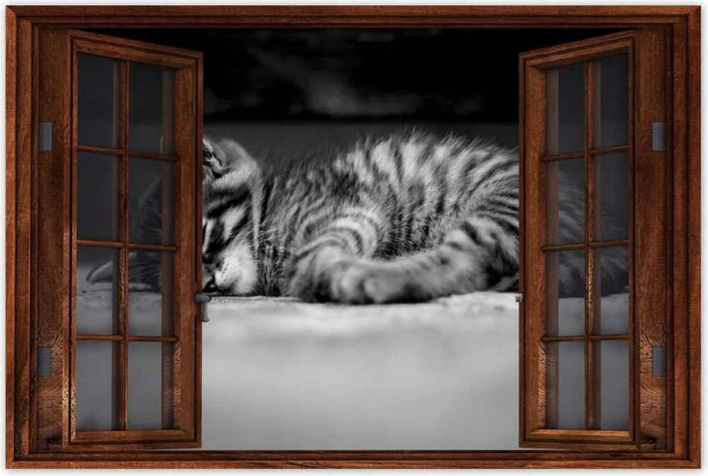 Poszterek 60x40 Cica Macska