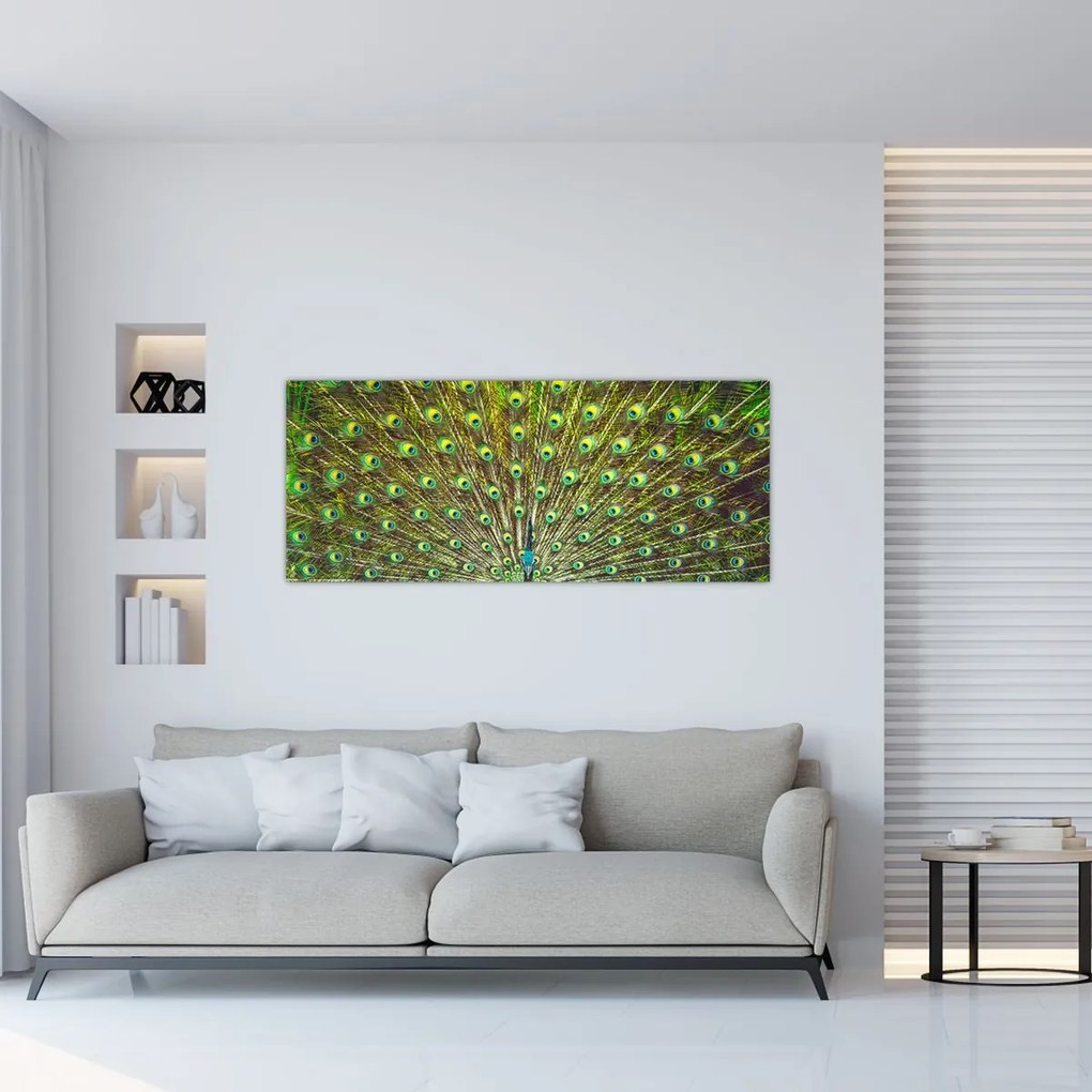 Kép - Páva (120x50 cm)