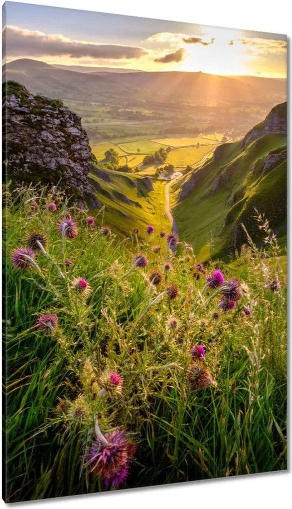 Vászonkép 80x120 Gyönyörű tájkép Kilátás