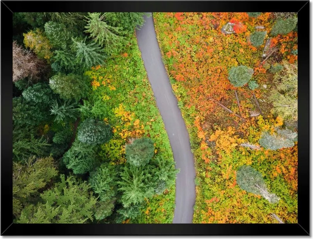 Poszterek keretben 40x30 Út Erdő Ősz