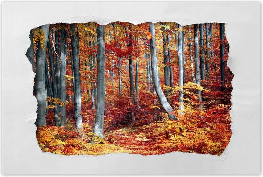 Poszterek 60x40 Tájkép