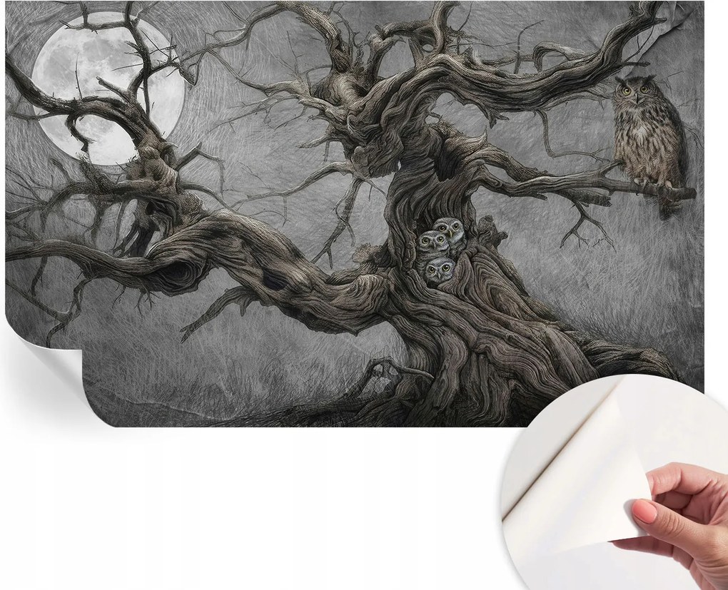 Fotótapéta Öntapadós Dekoratív tapéta Rejtélyes bagoly 416x254 cm