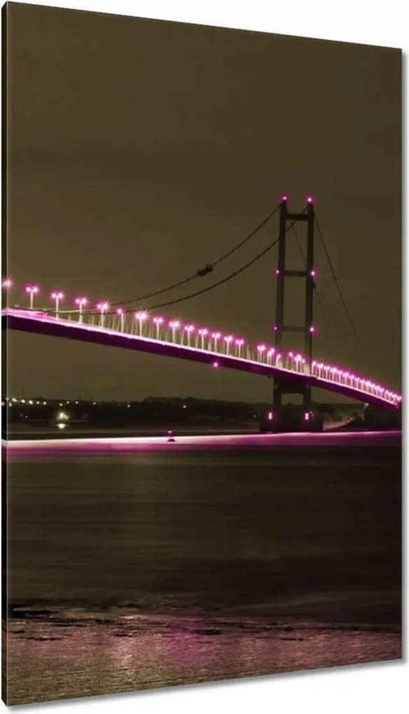 Vászonképek 80x120 Szépia fotó