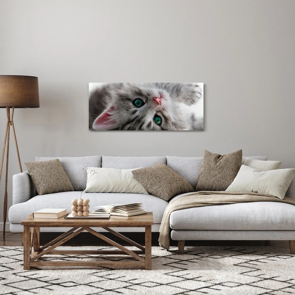 Kép - Macska zöld szemekkel (120x50 cm)