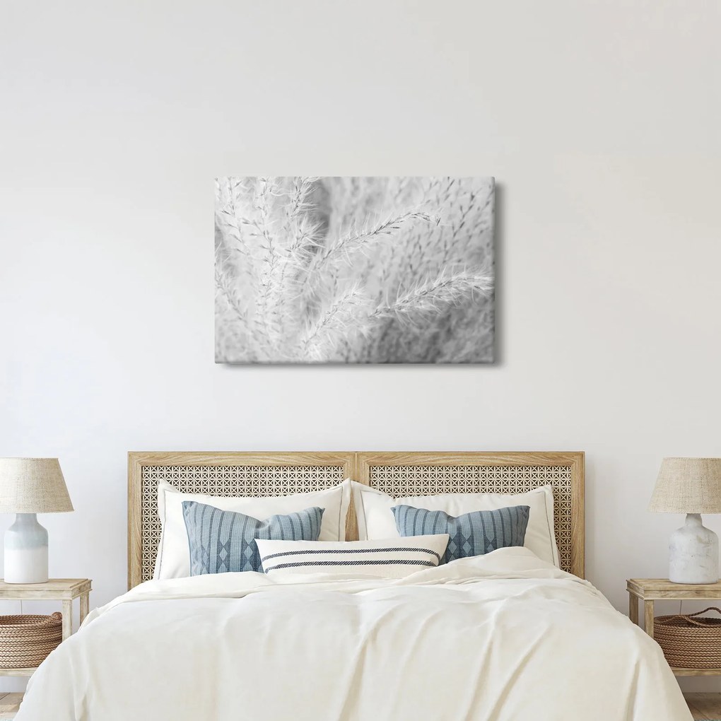 Kép - Pampafű N⁰1 (90x60 cm)