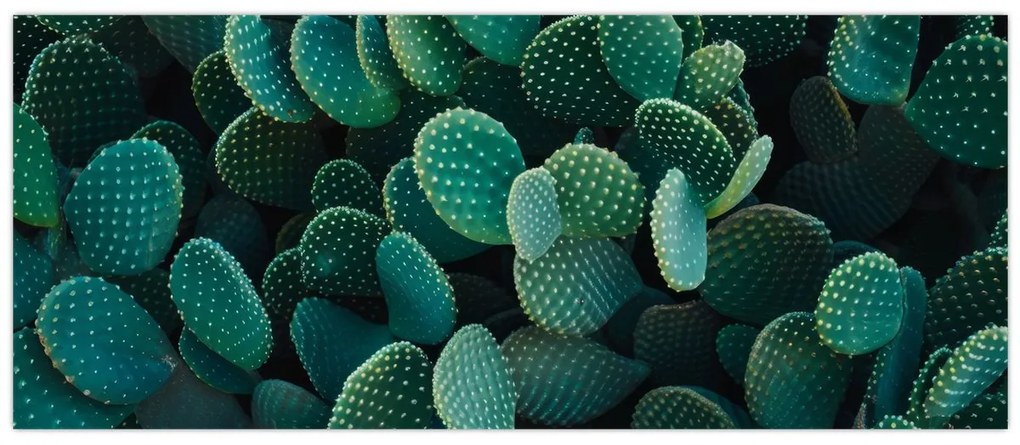 Kép - Opuntia (120x50 cm)