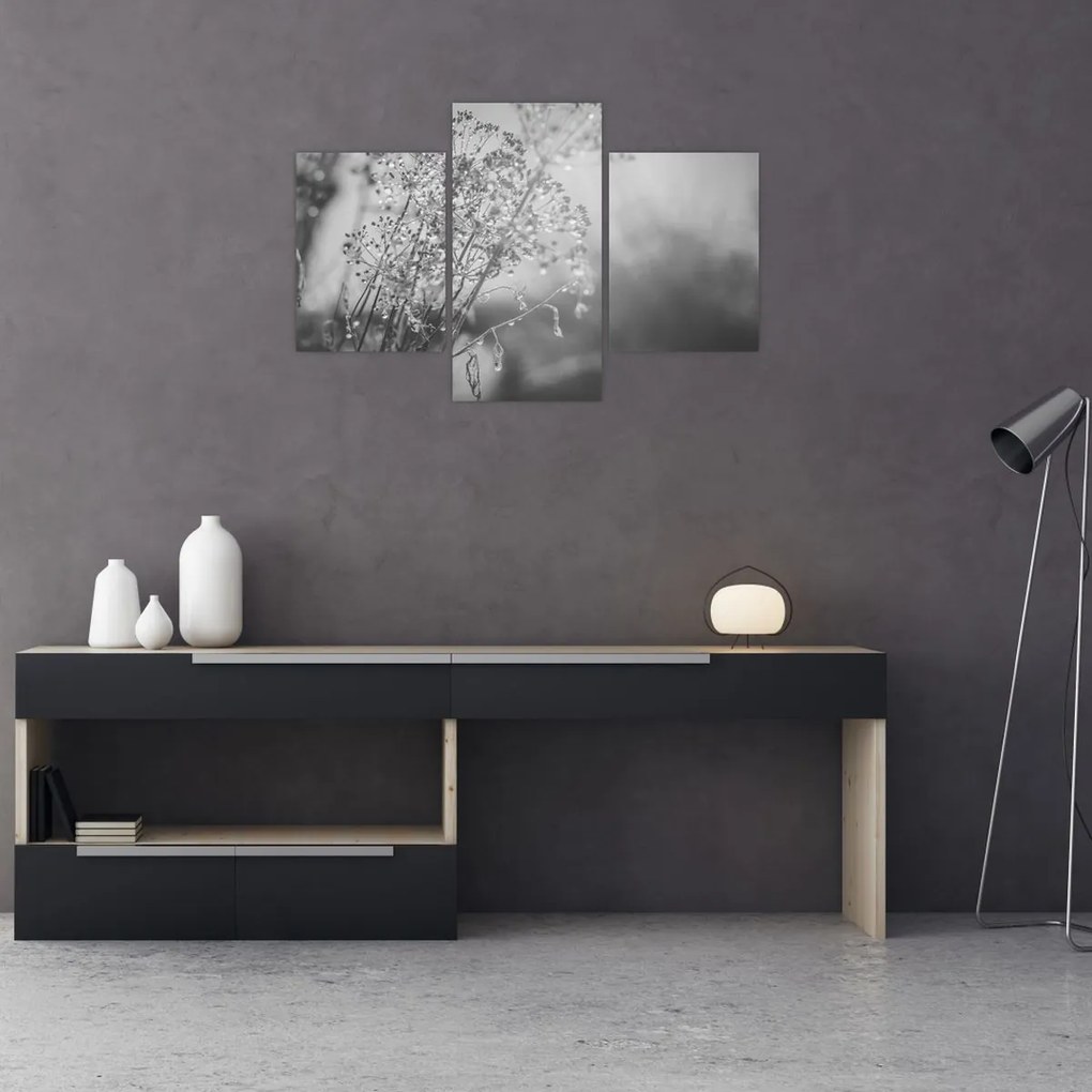 Kép - Mező az eső után (90x60 cm)