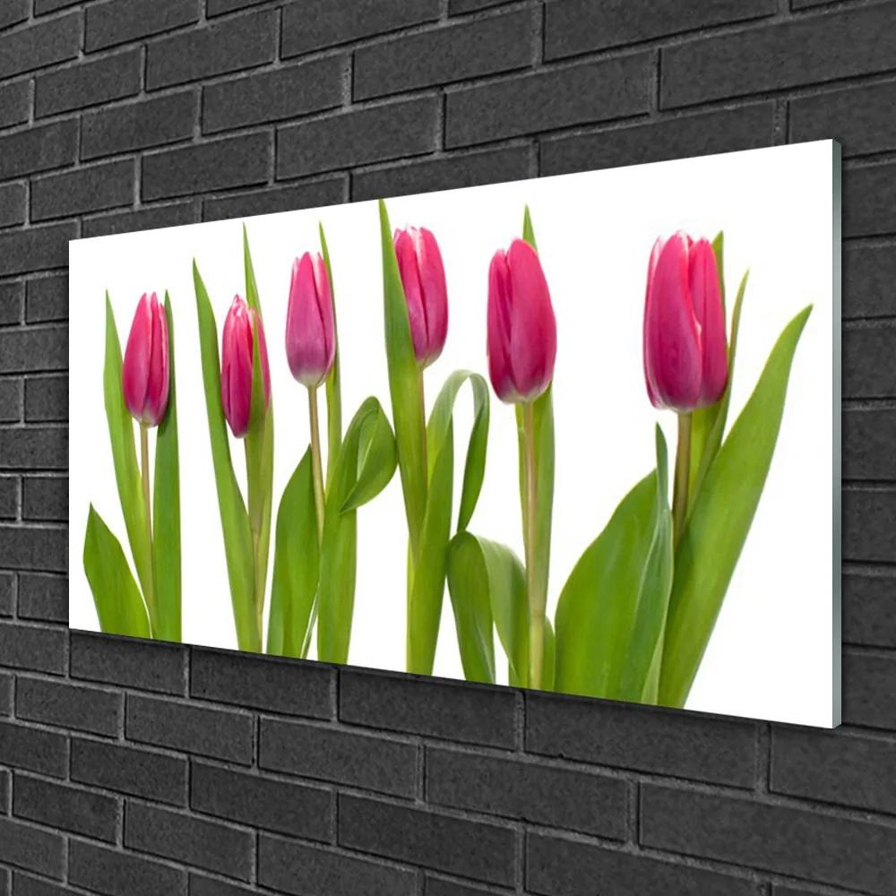 Üvegkép Tulipán virágok Plant 120x60cm