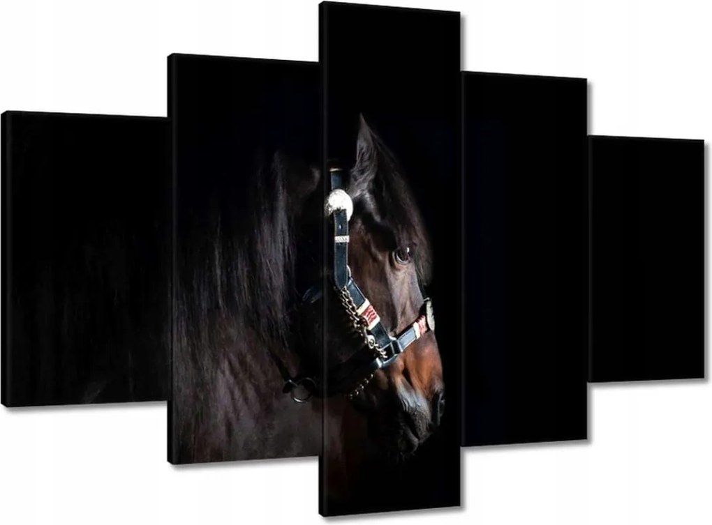 Vászonkép 150x105 Ló ló fekete alapon