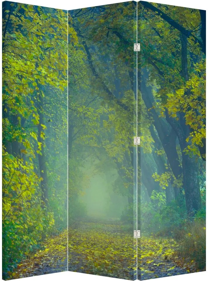 Paraván - Fákkal szegélyezett út (126x170 cm)