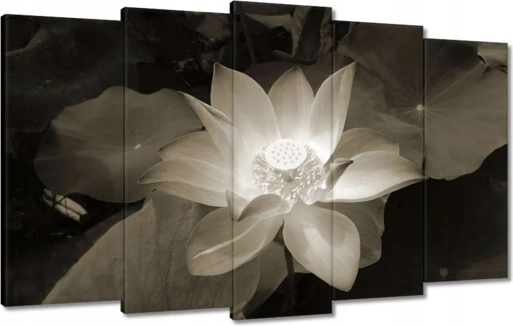 Vászonkép 100x60 Lótusz Lótuszvirág