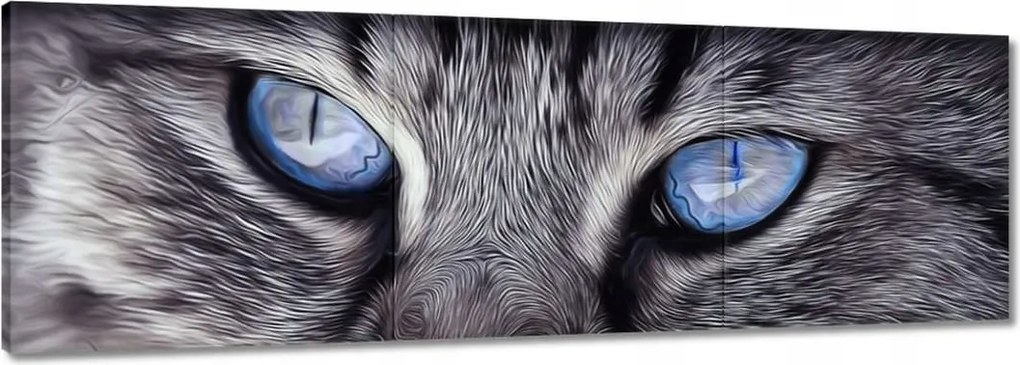 Vászonkép 60x20 Cica Cicák