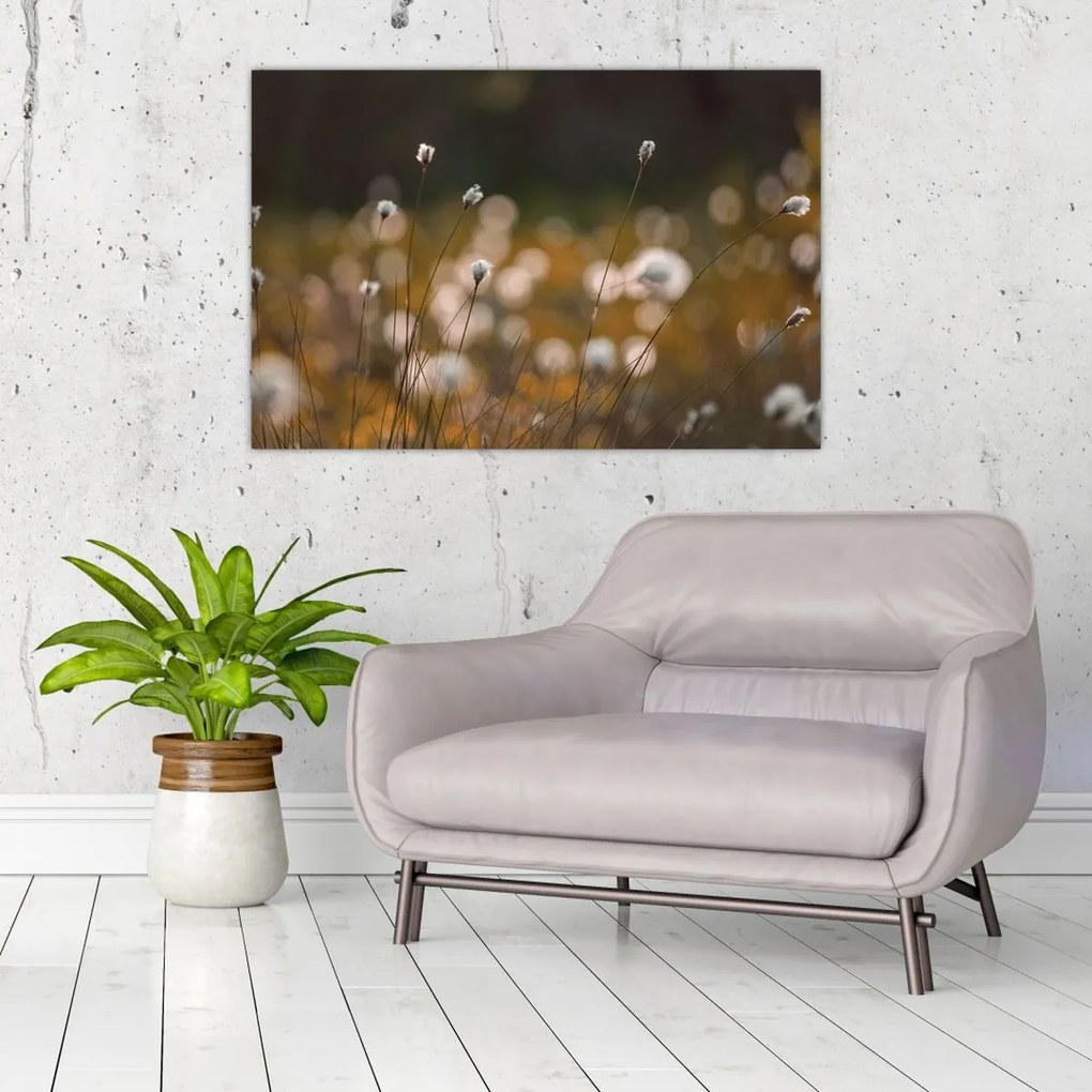 Kép - Gyapotfűvel borított rét N⁰2 (90x60 cm)