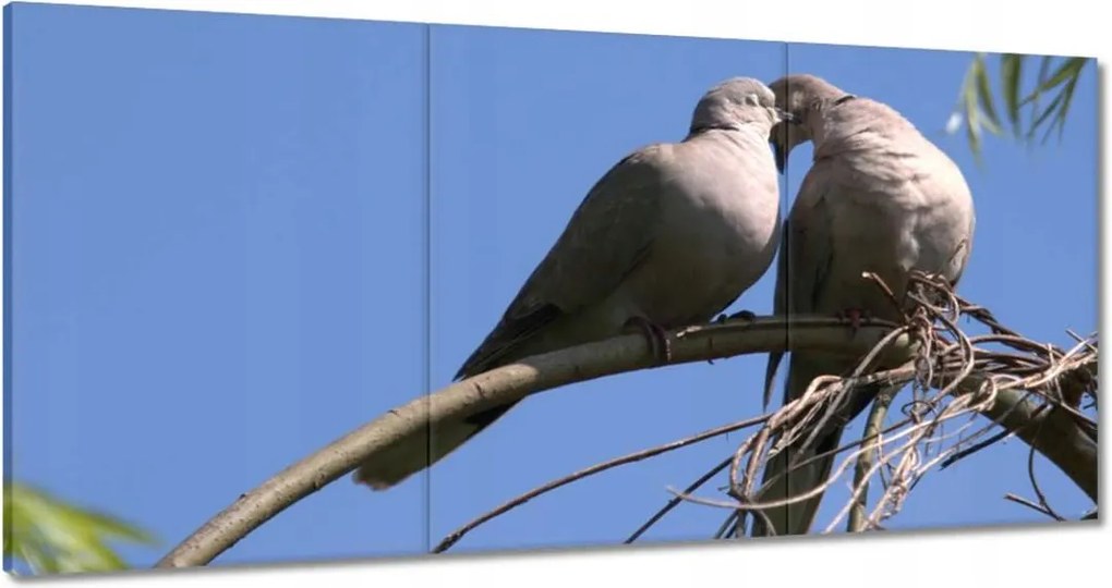 Festmények 180x90 Szerelem Érzés Párkapcsolat