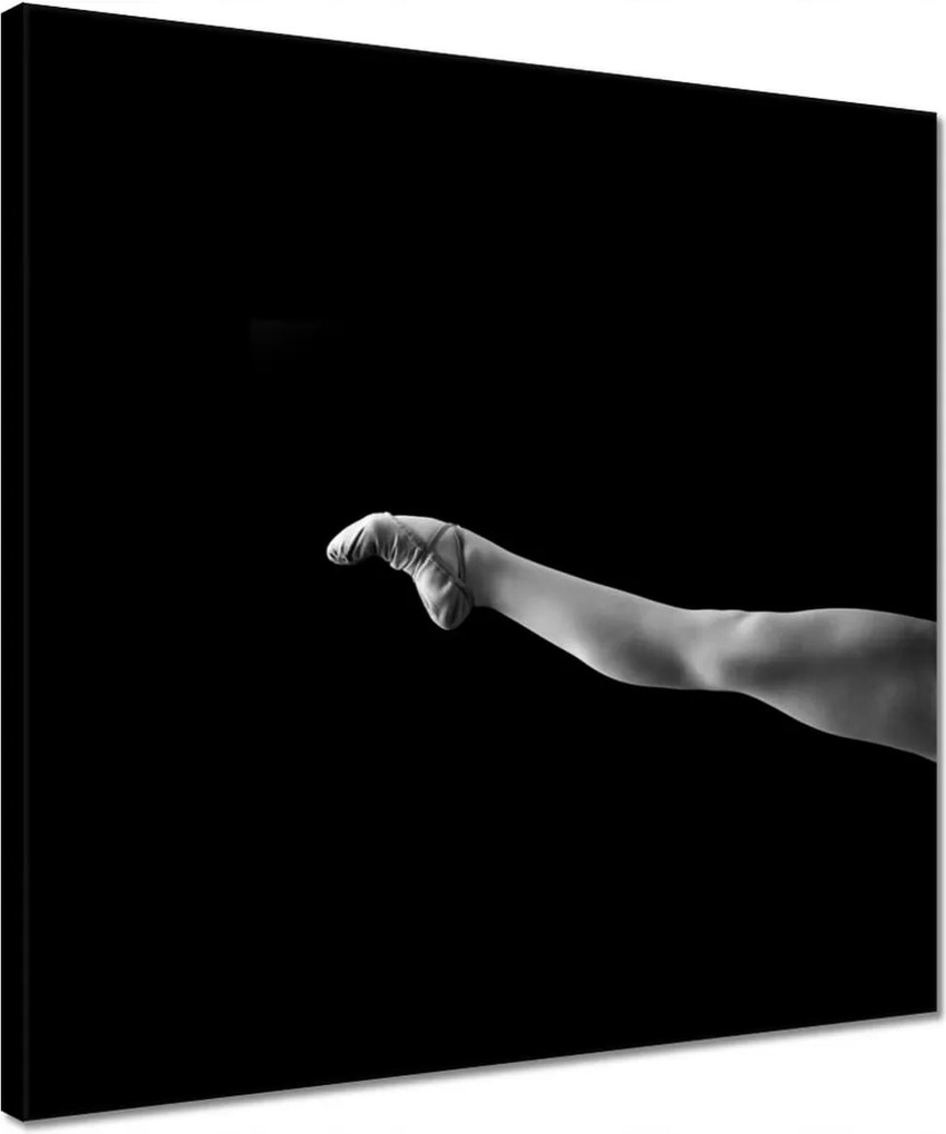 Vászonkép 40x40 Balerina